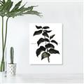 Picture of Black Leaves II _GroupedProduct_Rectangle_Portrait_Unframed_Print_Only_