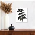 Picture of Black Leaves II _GroupedProduct_Rectangle_Portrait_Unframed_Print_Only_