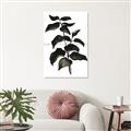 Picture of Black Leaves II _GroupedProduct_Rectangle_Portrait_Unframed_Print_Only_