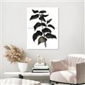 Picture of Black Leaves II _GroupedProduct_Rectangle_Portrait_Unframed_Print_Only_