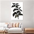 Picture of Black Leaves II _GroupedProduct_Rectangle_Portrait_Unframed_Print_Only_