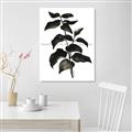 Picture of Black Leaves II _GroupedProduct_Rectangle_Portrait_Unframed_Print_Only_