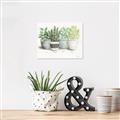 Picture of Pots With Flower _GroupedProduct_Rectangle_Landscape_Unframed_Print_Only_