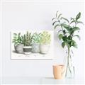Picture of Pots With Flower _GroupedProduct_Rectangle_Landscape_Unframed_Print_Only_