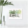 Picture of Pots With Flower _GroupedProduct_Rectangle_Landscape_Unframed_Print_Only_