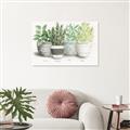 Picture of Pots With Flower _GroupedProduct_Rectangle_Landscape_Unframed_Print_Only_