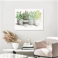 Picture of Pots With Flower _GroupedProduct_Rectangle_Landscape_Unframed_Print_Only_