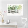 Picture of Pots With Flower _GroupedProduct_Rectangle_Landscape_Unframed_Print_Only_