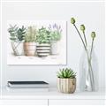 Picture of Pots With Flower I _GroupedProduct_Rectangle_Landscape_Unframed_Print_Only_