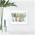 Picture of Pots With Flower I _GroupedProduct_Rectangle_Landscape_Unframed_Print_Only_