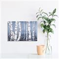 Picture of Plain White Birches _GroupedProduct_Rectangle_Landscape_Unframed_Print_Only_