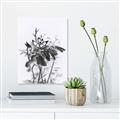 Picture of Black Daisy I _GroupedProduct_Rectangle_Portrait_Unframed_Print_Only_