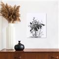 Picture of Black Daisy I _GroupedProduct_Rectangle_Portrait_Unframed_Print_Only_