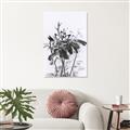 Picture of Black Daisy I _GroupedProduct_Rectangle_Portrait_Unframed_Print_Only_
