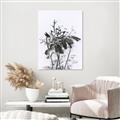 Picture of Black Daisy I _GroupedProduct_Rectangle_Portrait_Unframed_Print_Only_