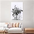 Picture of Black Daisy I _GroupedProduct_Rectangle_Portrait_Unframed_Print_Only_