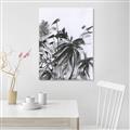 Picture of Black Daisy II _GroupedProduct_Rectangle_Portrait_Unframed_Print_Only_
