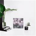 Picture of Big Pink Flower  _GroupedProduct_Square_Unframed_Print_Only_