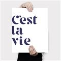 Picture of Cest La Vie II _GroupedProduct_Rectangle_Portrait_Canvas_