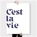 Picture of Cest La Vie II _GroupedProduct_Rectangle_Portrait_Canvas_