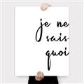 Picture of Je Ne Sais Quoi II _GroupedProduct_Rectangle_Portrait_Canvas_