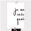 Picture of Je Ne Sais Quoi II _GroupedProduct_Rectangle_Portrait_Canvas_