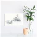 Picture of Cute cat _GroupedProduct_Rectangle_Landscape_Canvas_