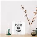 Picture of Cest La Vie III _GroupedProduct_Square_Canvas_