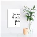 Picture of Je Ne Sais Quoi II _GroupedProduct_Rectangle_Portrait_Canvas_