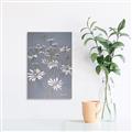 Picture of Daisy Flower _GroupedProduct_Rectangle_Portrait_Canvas_