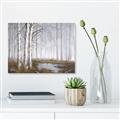 Picture of Foggy Trees _GroupedProduct_Rectangle_Landscape_Canvas_
