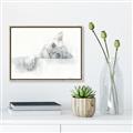 Picture of Cute cat _GroupedProduct_Rectangle_Landscape_Canvas_Framed_