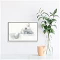 Picture of Cute cat _GroupedProduct_Rectangle_Landscape_Canvas_Framed_