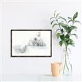 Picture of Cute cat _GroupedProduct_Rectangle_Landscape_Canvas_Framed_
