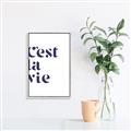 Picture of Cest La Vie II _GroupedProduct_Rectangle_Portrait_Canvas_Framed_