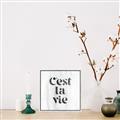 Picture of Cest La Vie III _GroupedProduct_Square_Canvas_Framed_