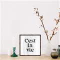 Picture of Cest La Vie III _GroupedProduct_Square_Canvas_Framed_