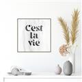 Picture of Cest La Vie III _GroupedProduct_Square_Canvas_Framed_
