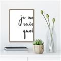 Picture of Je Ne Sais Quoi II _GroupedProduct_Rectangle_Portrait_Canvas_Framed_