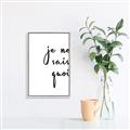 Picture of Je Ne Sais Quoi II _GroupedProduct_Rectangle_Portrait_Canvas_Framed_