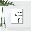 Picture of Je Ne Sais Quoi II _GroupedProduct_Rectangle_Portrait_Canvas_Framed_