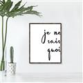 Picture of Je Ne Sais Quoi II _GroupedProduct_Rectangle_Portrait_Canvas_Framed_