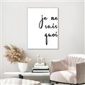 Picture of Je Ne Sais Quoi II _GroupedProduct_Rectangle_Portrait_Canvas_Framed_