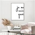Picture of Je Ne Sais Quoi II _GroupedProduct_Rectangle_Portrait_Canvas_Framed_