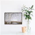 Picture of Foggy Trees _GroupedProduct_Rectangle_Landscape_Canvas_Framed_
