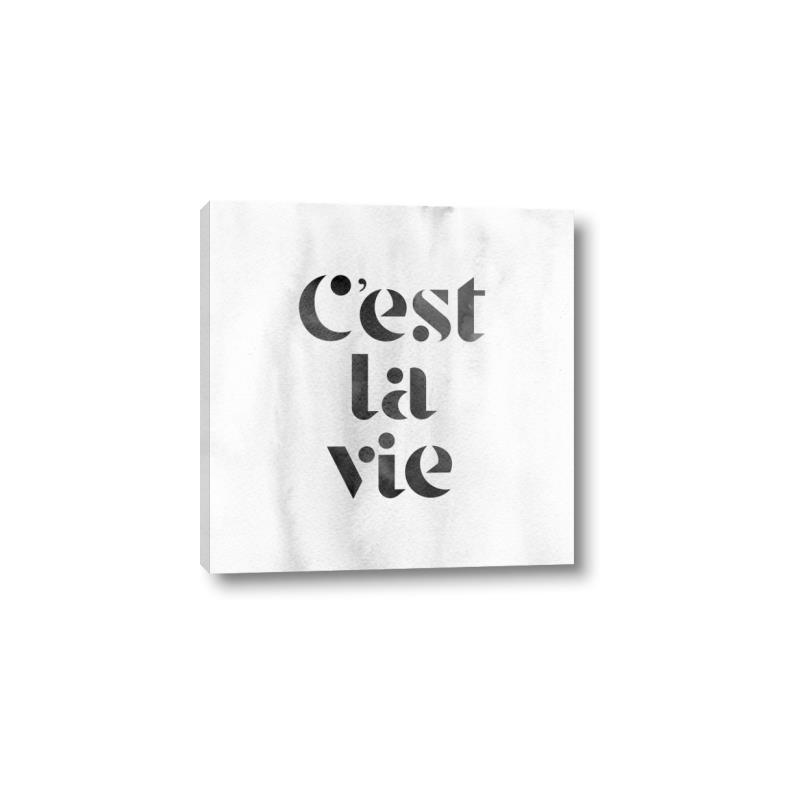 Picture of Cest La Vie III _GroupedProduct_Square_Canvas_