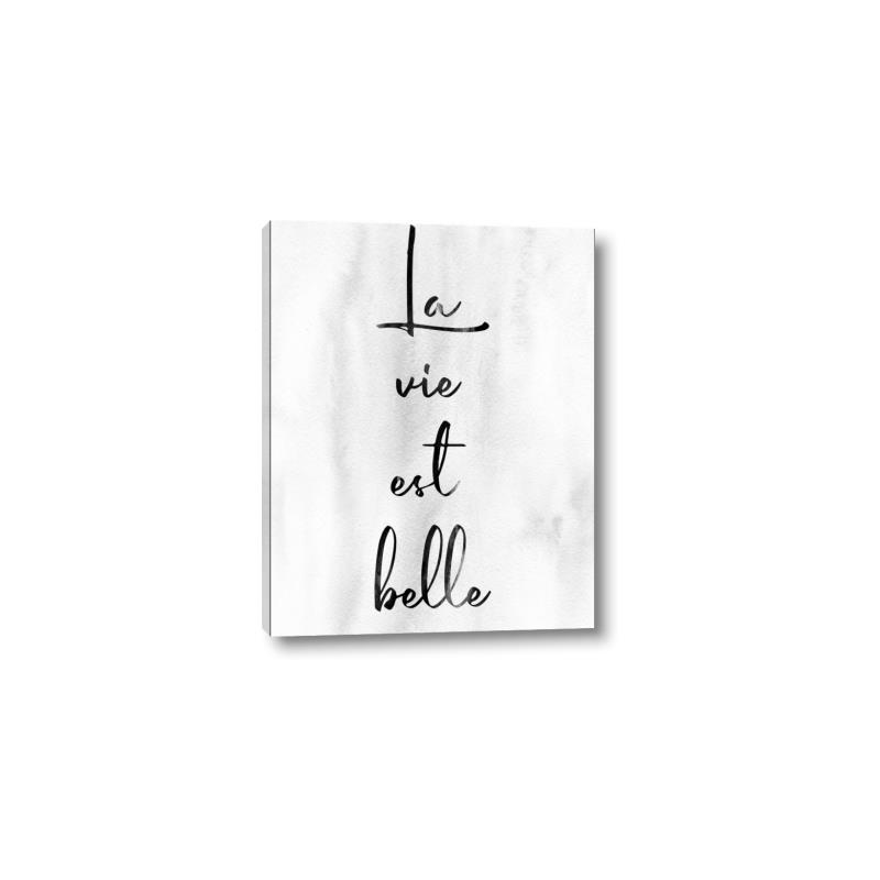 Picture of La Vie Est Belle _GroupedProduct_Rectangle_Portrait_Canvas_