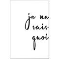 Picture of Je Ne Sais Quoi II _GroupedProduct_Rectangle_Portrait_Canvas_
