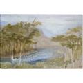 Picture of Clear Swamp _GroupedProduct_Rectangle_Landscape_Canvas_