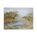 Picture of Clear Swamp _GroupedProduct_Rectangle_Landscape_Canvas_